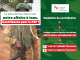 Fonds de Soutien Patriotique : quand le peuple paie le prix de sa propre liberté !